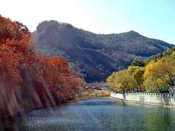 深圳市考试院（深圳市考试院邮箱）